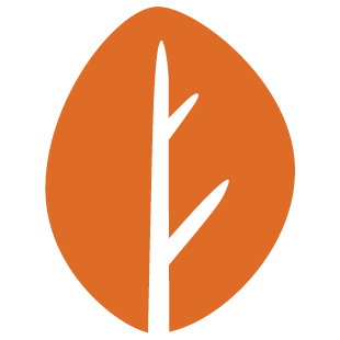 connectnfunplay.com favicon